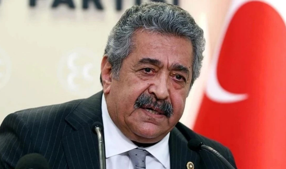 Feti Yıldız, Milli Dayanışma, Kardeşlik ve Demokrasi Komisyonu’nun Türkiye’nin üniter