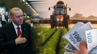 Cumhurbaşkanı Recep Tayyip Erdoğan, küçükbaş hayvancılığa yönelik yeni destek paketini