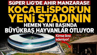 Kocaelispor'un milyonlarca liraya inşa edilen yeni stadının hemen bitişiğindeki ahır