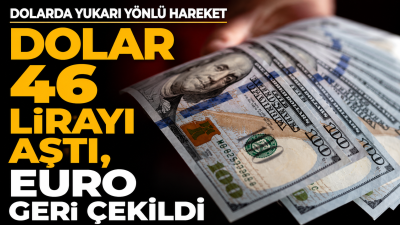 Dolar, İstanbul serbest piyasada 46 lirayı aşarak 46,0810 liraya yükseldi;