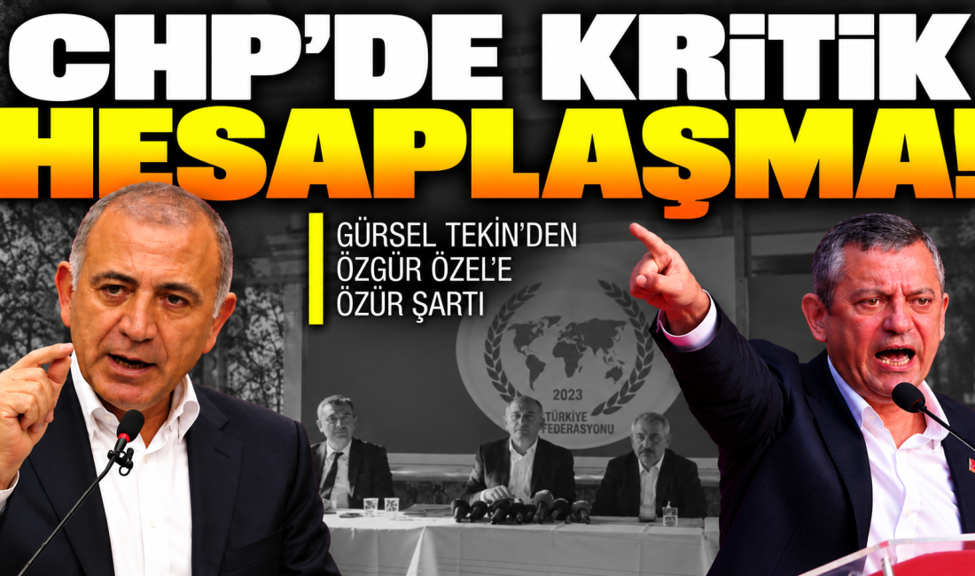 CHP Genel Koordinatörü Gürsel Tekin, partinin cumhurbaşkanı adayının belirlendiğini belirterek,