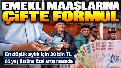 Milyonlarca emeklinin gözü ocak zammına çevrilmişken, kulislerde en düşük emekli