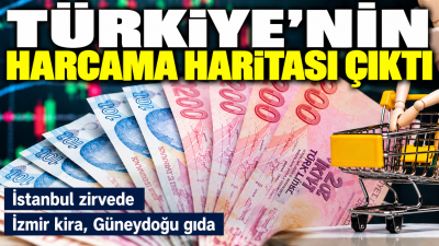 TÜİK'in 2025 yılı Hanehalkı Tüketim Harcaması verileri, Türkiye'nin harcama alışkanlıklarını